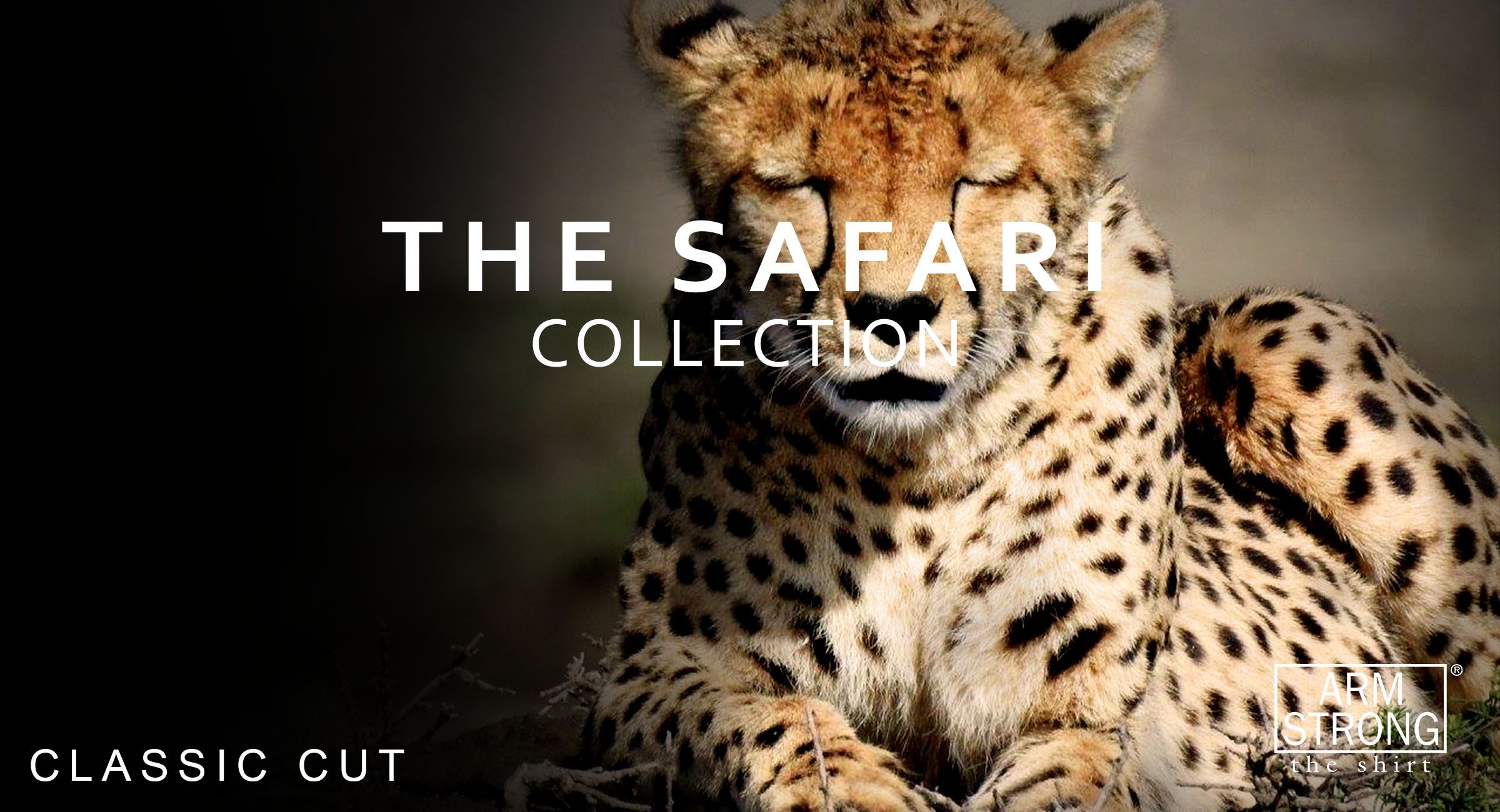 safari-classic